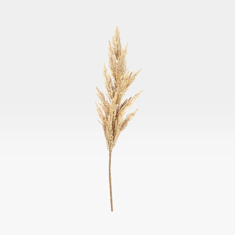 PAMPAS grass stem white - H120cm