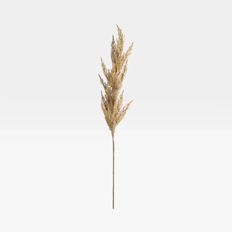 PAMPAS grass stem brown - H122cm