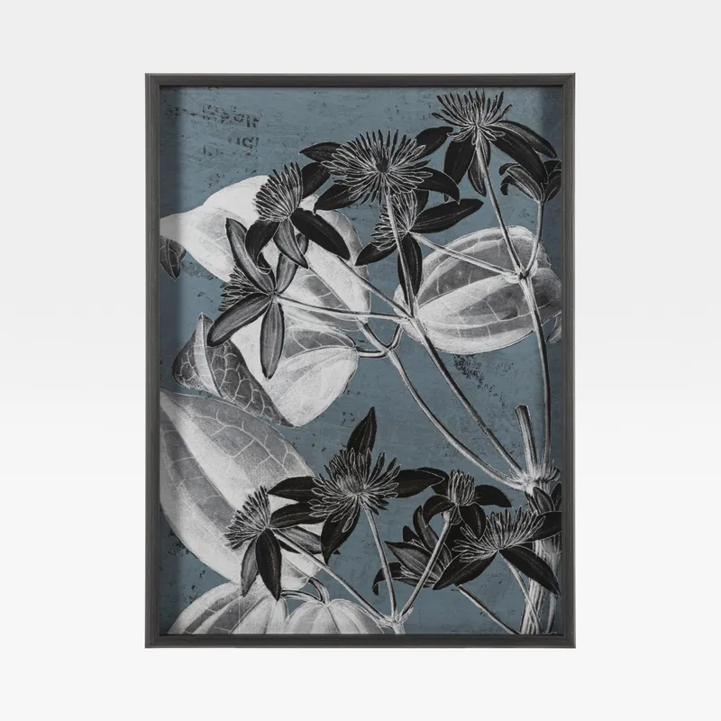BLOOM I print black - 71x94cm