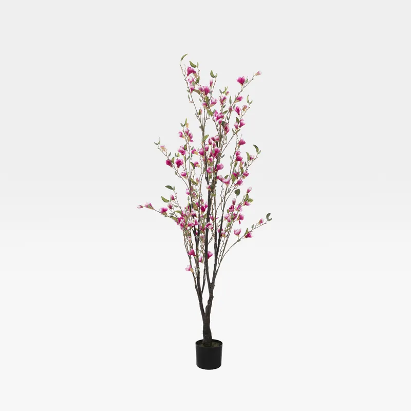 MAGNOLIA tree pink - H165cm
