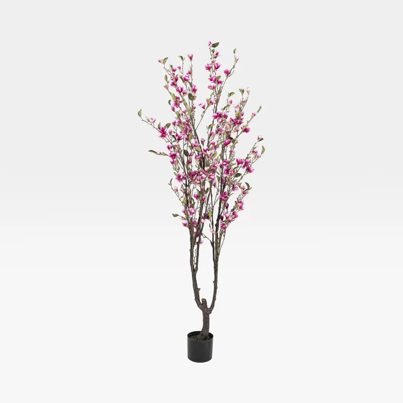 MAGNOLIA tree pink - H195cm
