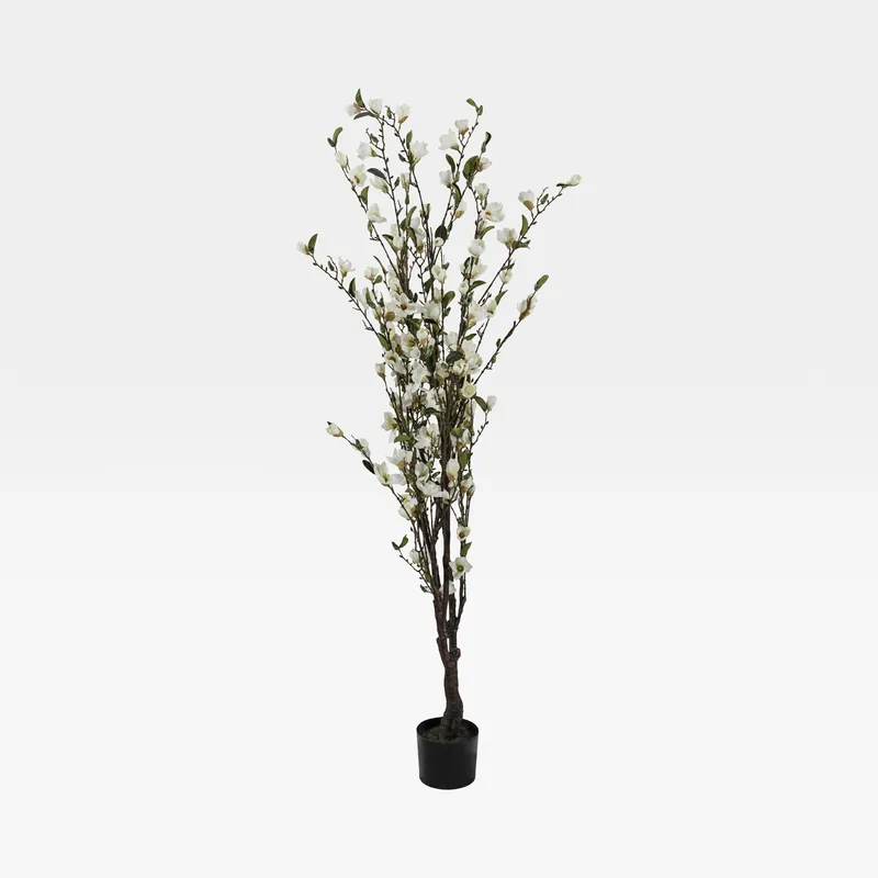 MAGNOLIA tree white - H195cm