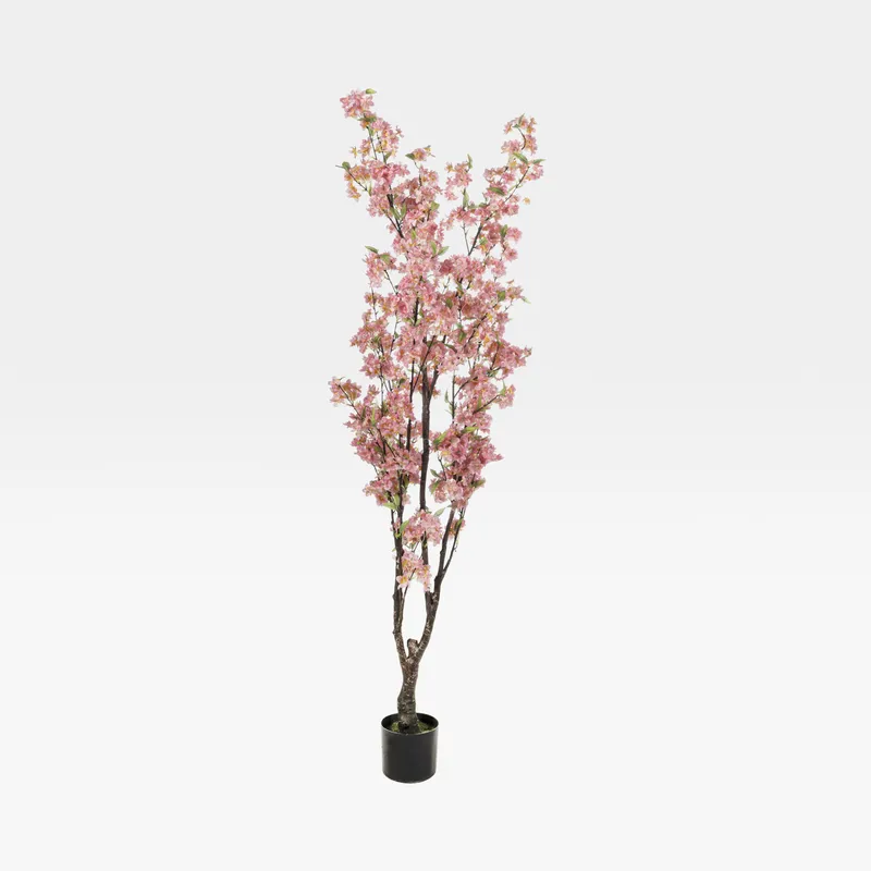 CHERRY blossom tree pink - H165cm