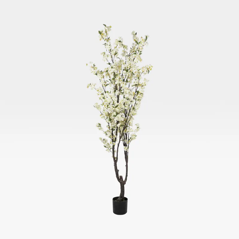 CHERRY blossom tree white - H195cm