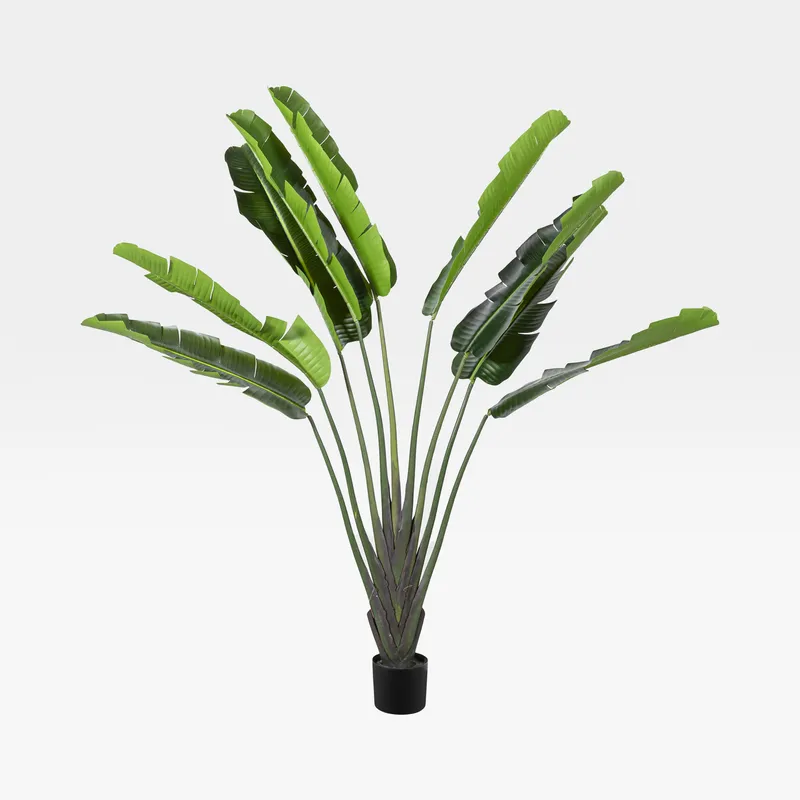 BANANA tree green - H150cm