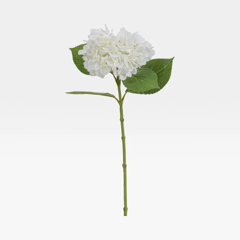 HYDRANGEA stem white - H68cm