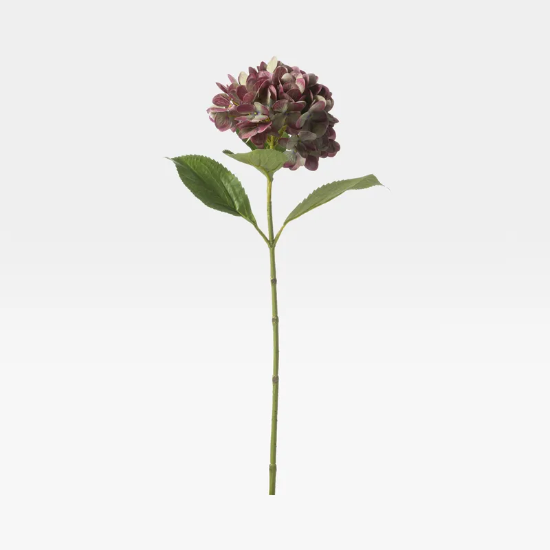 HYDRANGEA stem purple - H68cm