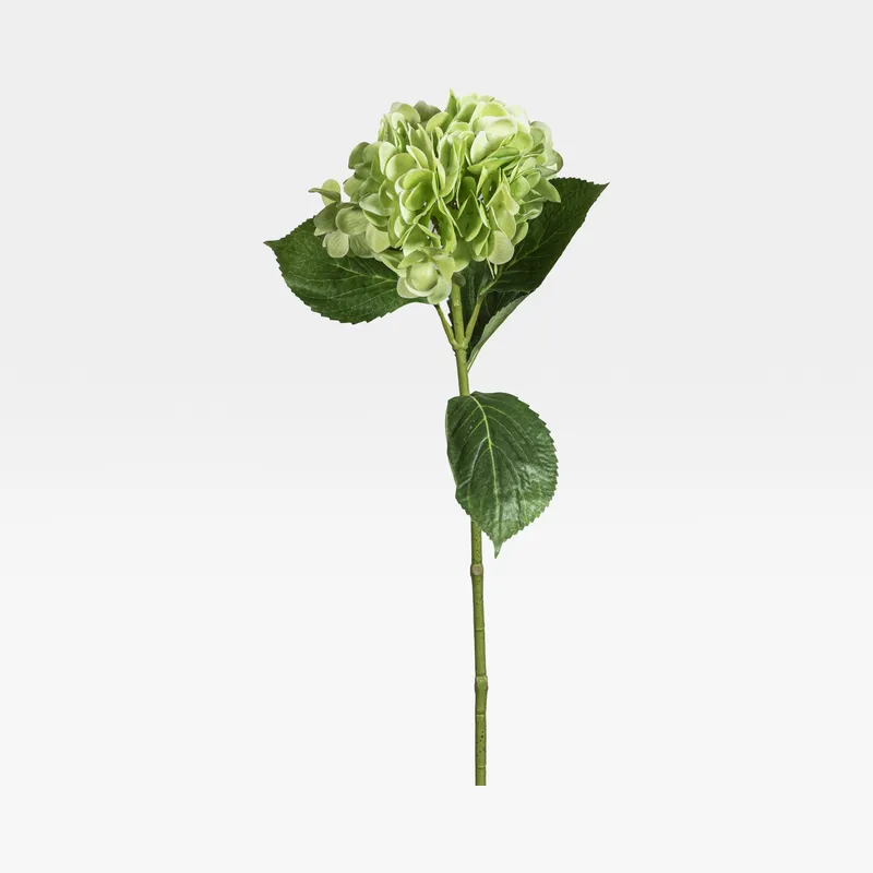 HYDRANGEA stem green - H68cm