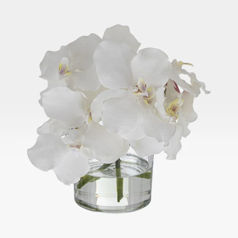 VANDA arrangement white - H24cm