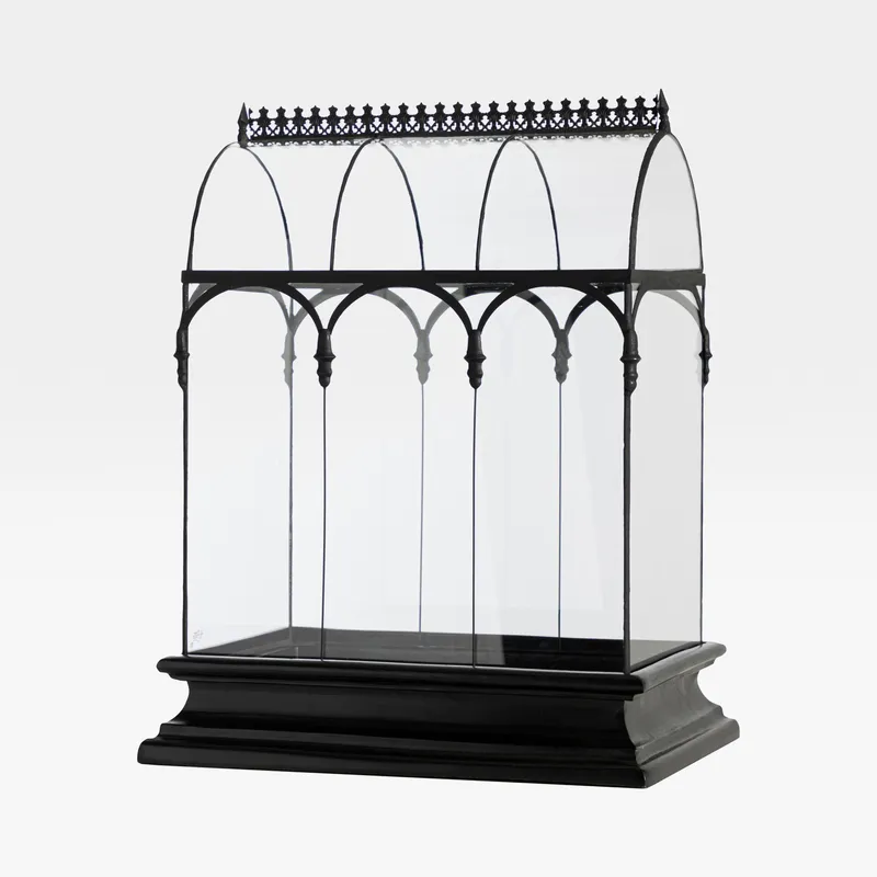 TERRARIUM greenhouse clear/black - 54x41cm