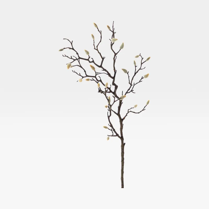 MAGNOLIA bud stem grey - H102cm