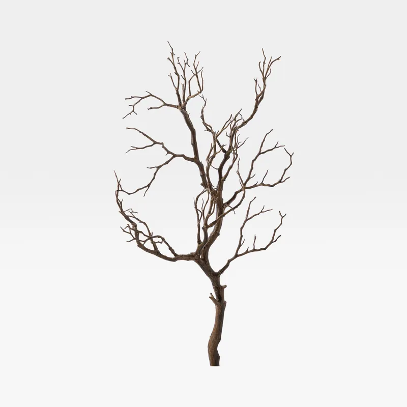 GHOST wood stem dark brown - H99cm