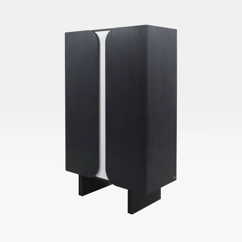 OLBIA cabinet black - 160x100cm