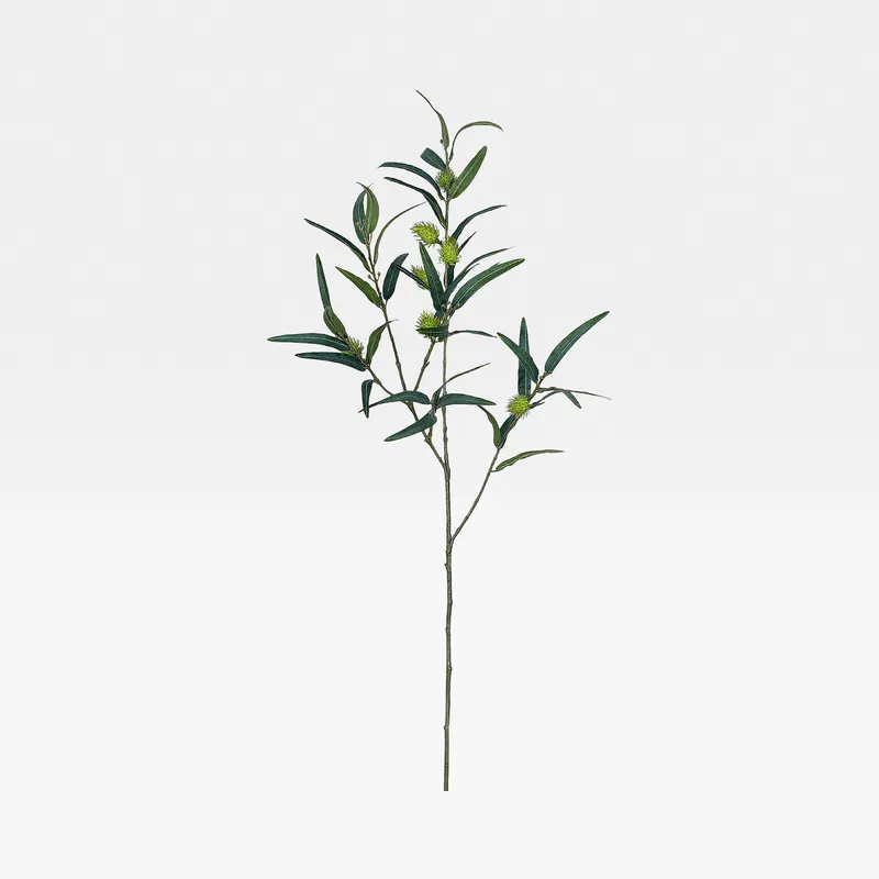 ASCLEPIAS stem green - H95cm