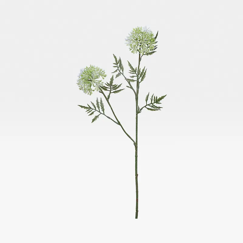 ALLIUM stem white - H58cm