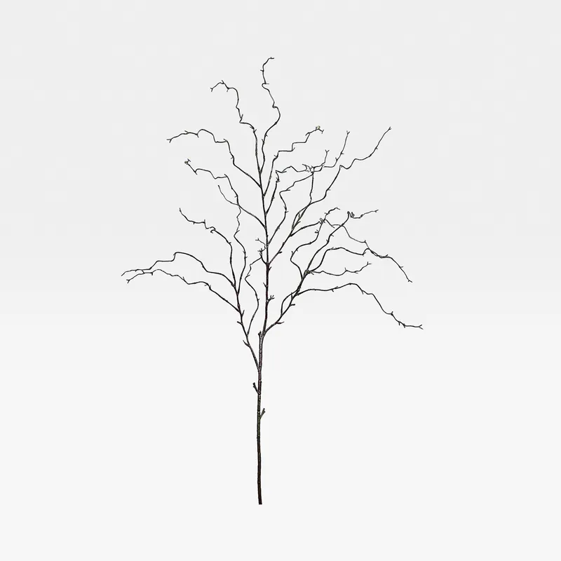 WILLOW stem brown - H138cm